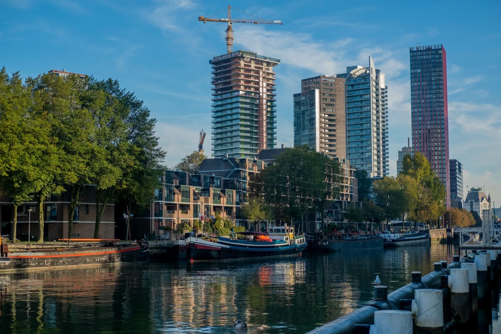 Adviseur Milieu & Omgeving aan het werk